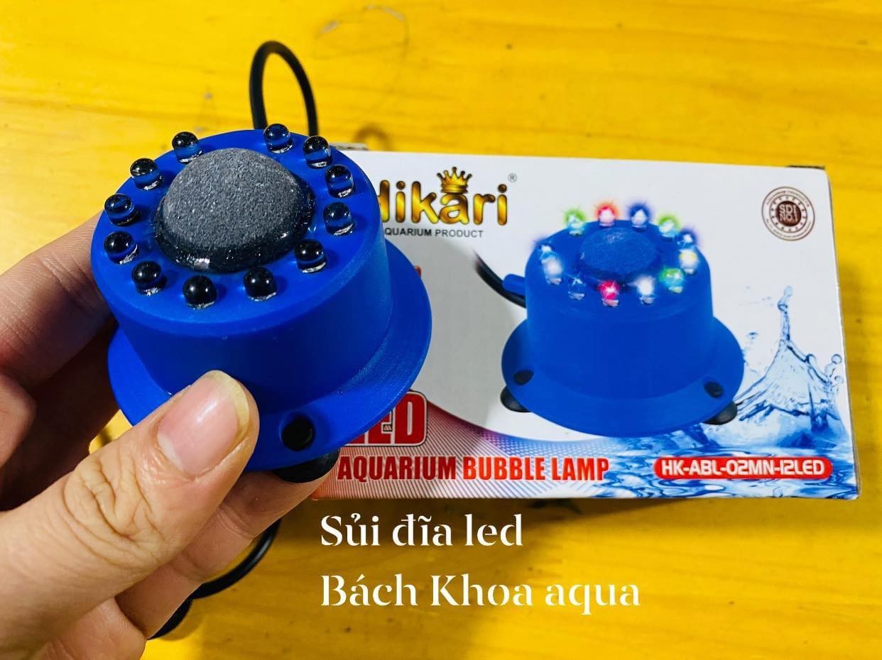 Sủi đĩa kết hợp đèn led Hikari